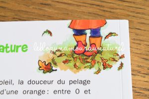 Jouer avec la nature - 70 activités d'éveil pour les tout petits - Livre  Petite enfance de Elise Mareuil - Dunod