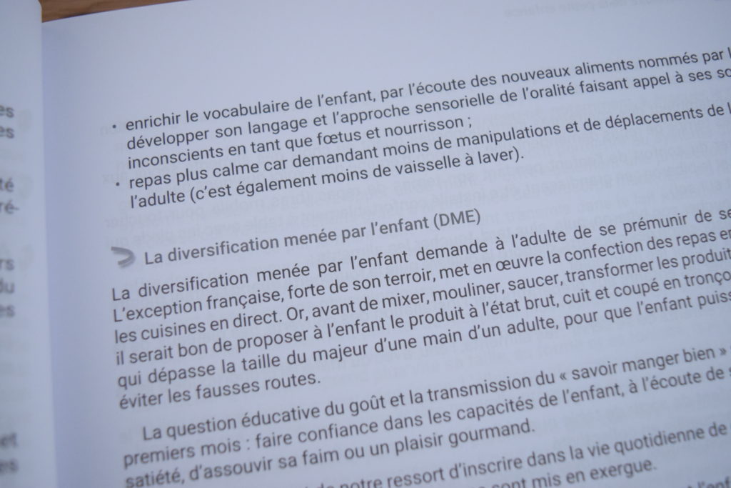 Le Grand Dictionnaire De La Petite Enfance Le grand dictionnaire de la petite enfance – Le Blog un Amour au Naturel
